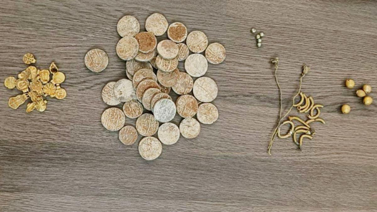 किसान को खेत में मिले सोने और चांदी के सिक्के