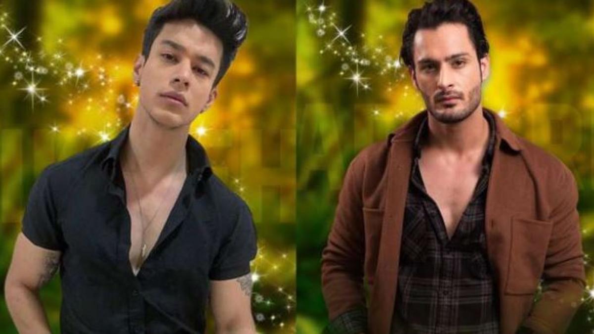 प्रतीक सहजपाल और उमर रियाज