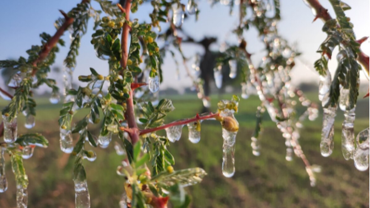 राजस्थान में भी माइनस में तापमान