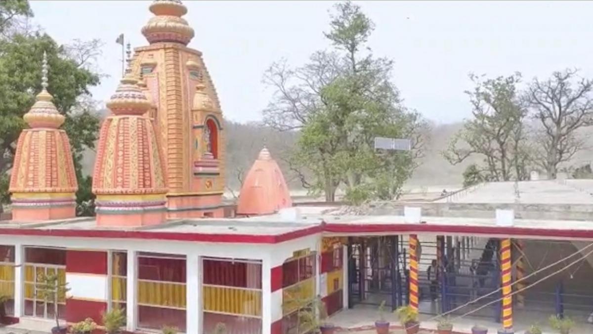 Shakumbhari