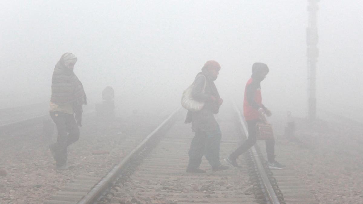 IMD WInter Weather Updates (फोटो- PTI)