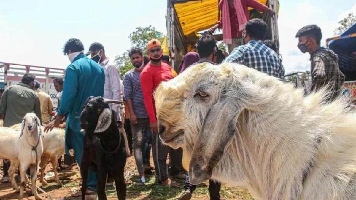 सांकेतिक तस्वीर.