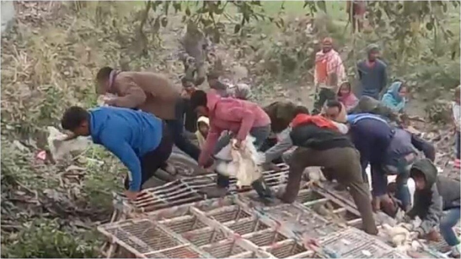 बीच सड़क पर पलटी गाड़ी से मुर्गे लूटते लोग.