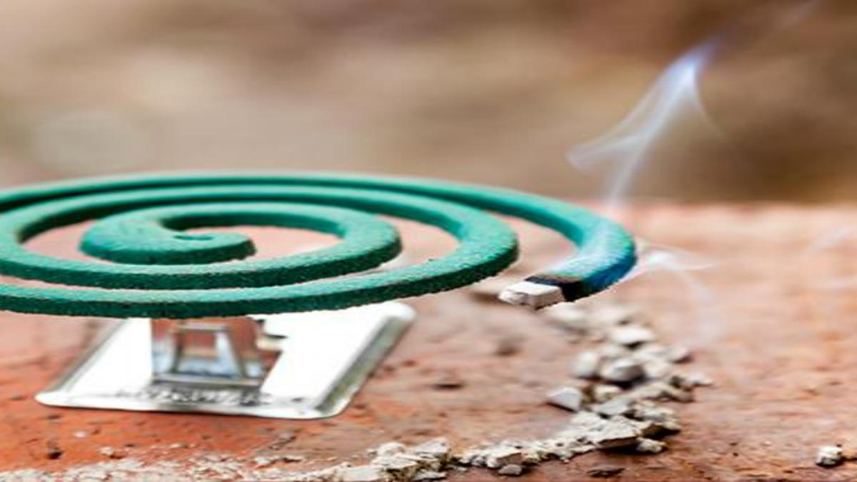 रात में मॉस्किटो क्वायल जलाकर सोये थे दो भाई, सुबह कमरे में मिली लाश