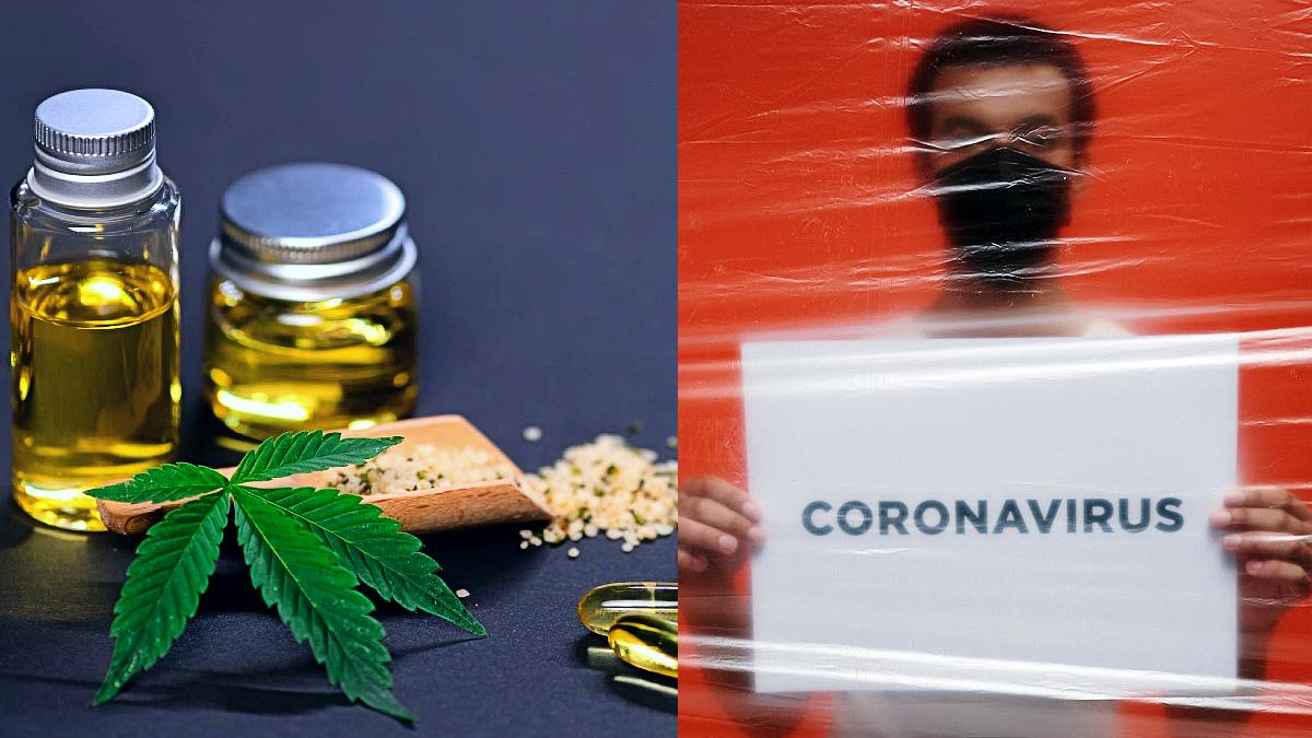 Image Credit : Pexels