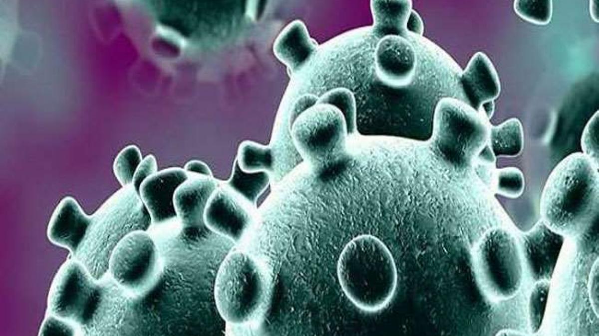 गुजरातः कैबिनेट मंत्री राघवजी पटेल और राजेंद्र त्रिवेदी कोरोना संक्रमित, इलाज के लिए अस्पताल में भर्ती