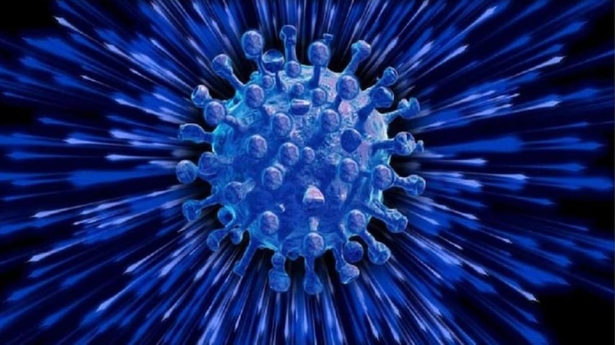 Corona: विदेश मंत्री जयशंकर को हुआ कोरोना, महाराष्ट्र के मंत्री अशोक चव्हाण भी पॉजिटिव