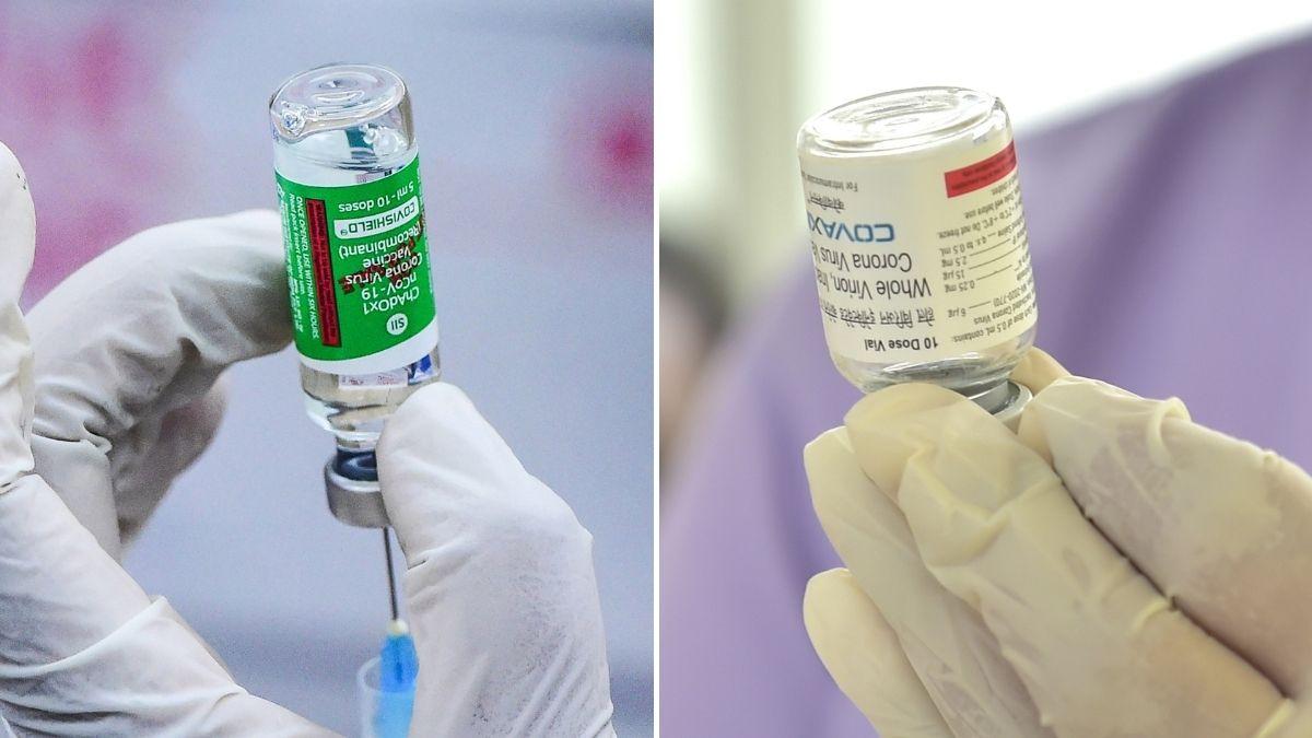 सबसे ज्यादा कोविशील्ड और कोवैक्सीन का ही इस्तेमाल हो रहा है. (फाइल फोटो-PTI)