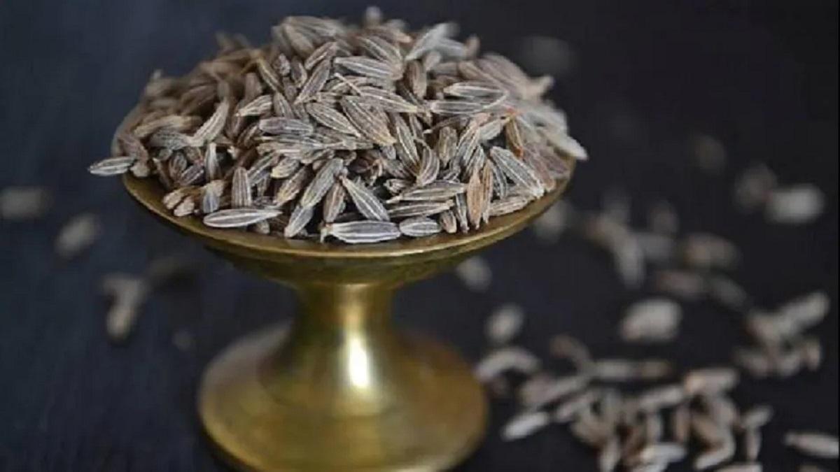 Cumin cultivation