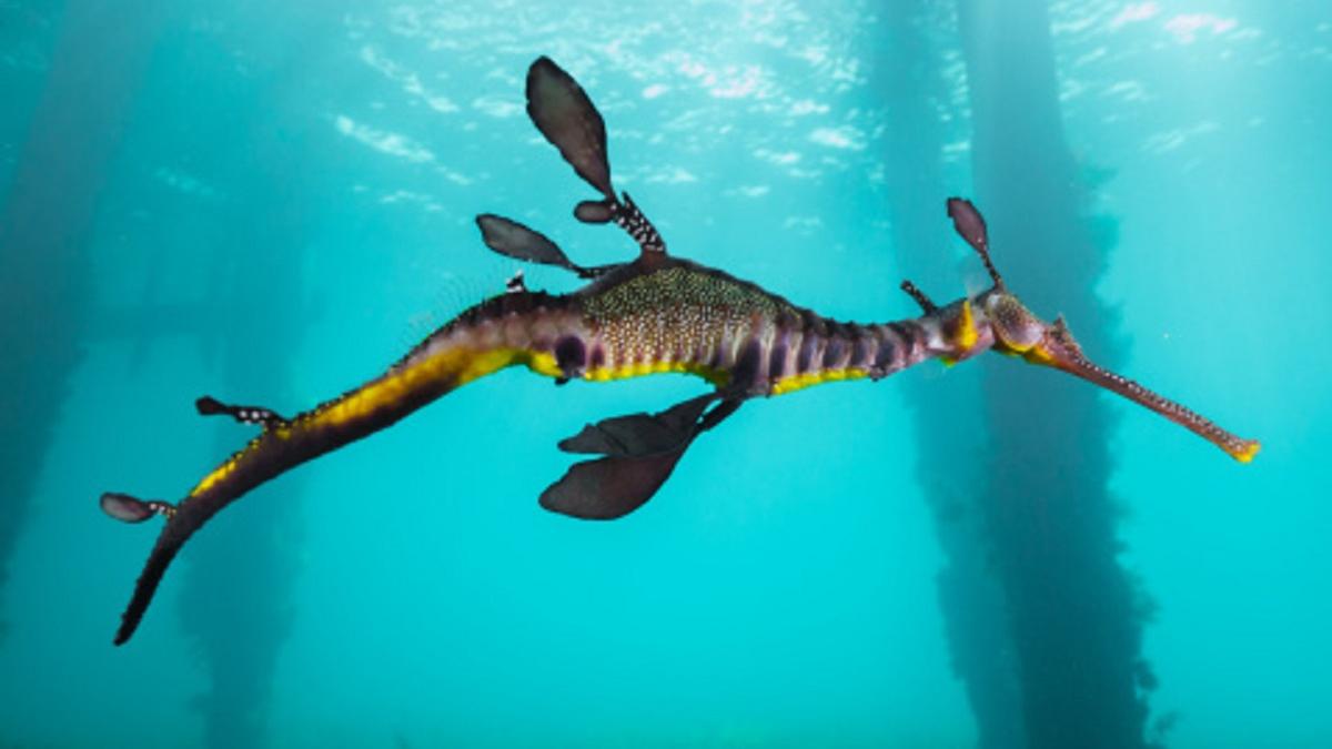 सांकेतिक फोटो 