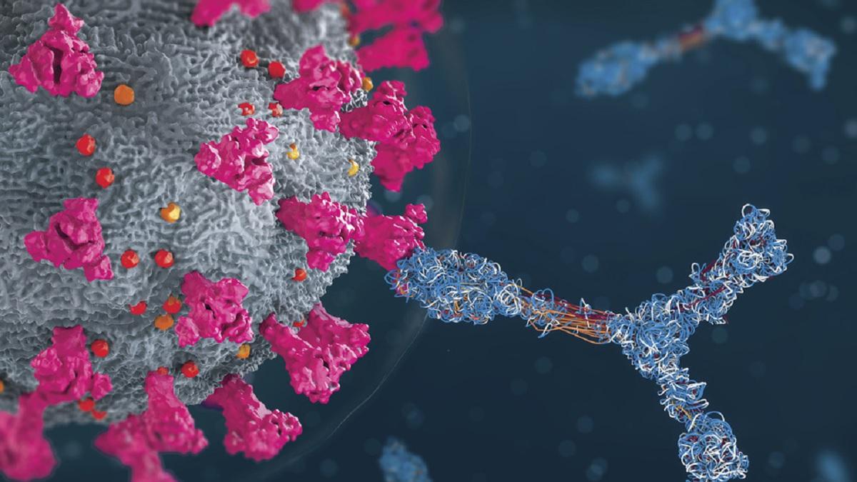भारत को Omicron की तबाही से बचा सकती है 'सुपर इम्यूनिटी', वैज्ञानिकों के सामने सिर्फ एक मुश्किल (Photo: Getty Images)