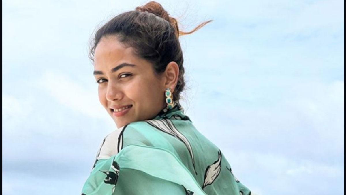 mira-rajput