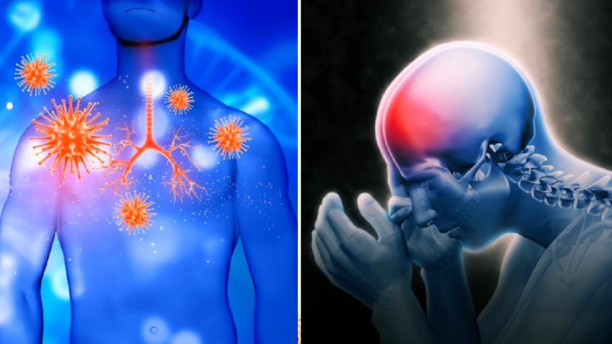 Image credit : Getty images