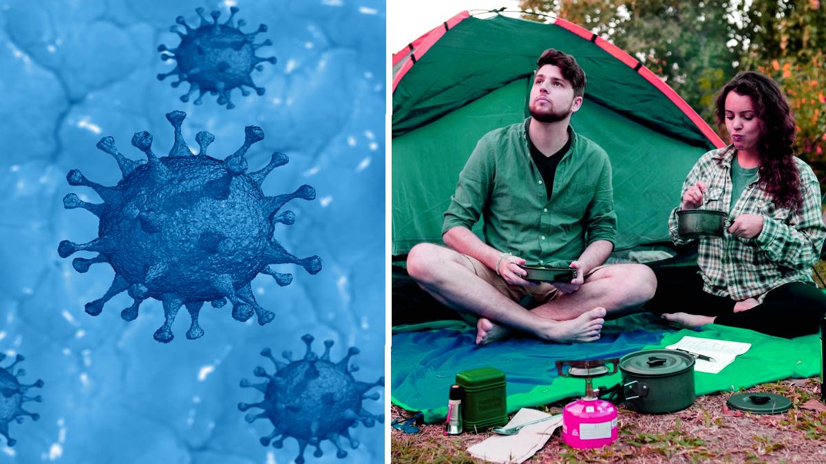 Image credit : Pixabay