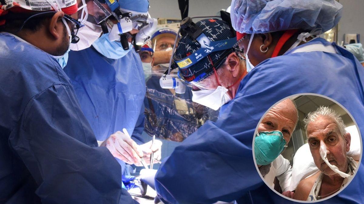 मनुष्य के शरीर में PIG का दिल कैसे लगा? बदलने पड़े सूअर के 10 जीन, डाली गई इंसानों वाली खूबियां