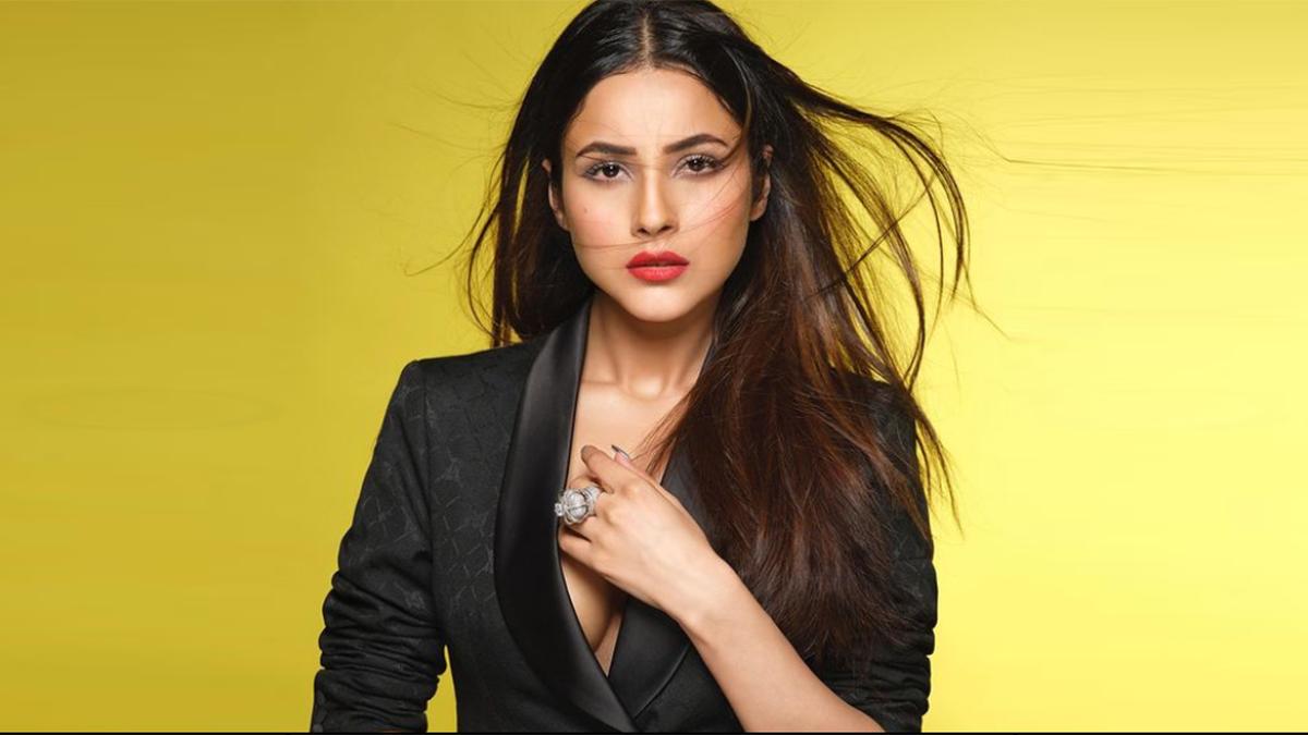 Sidharth Shukla की मौत के बाद कैसे खुद को संभाला, कितनी बदल गई सोच? पहली बार खुलकर बोलीं Shehnaaz Gill