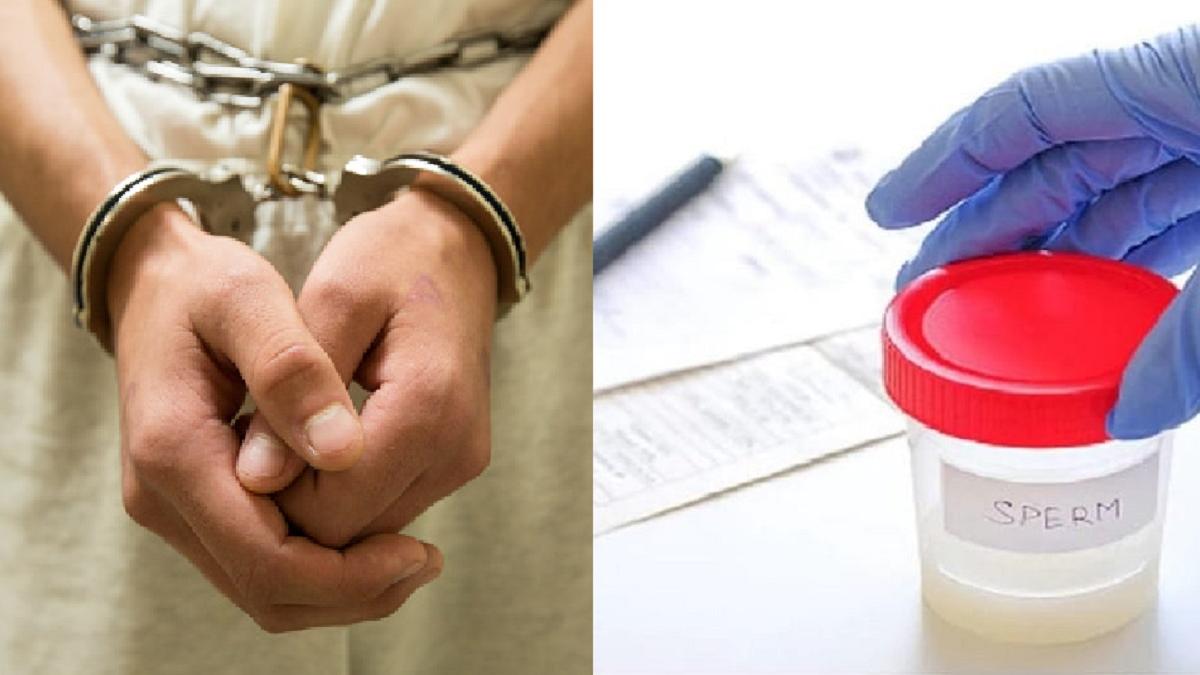 सांकेतिक फोटो 