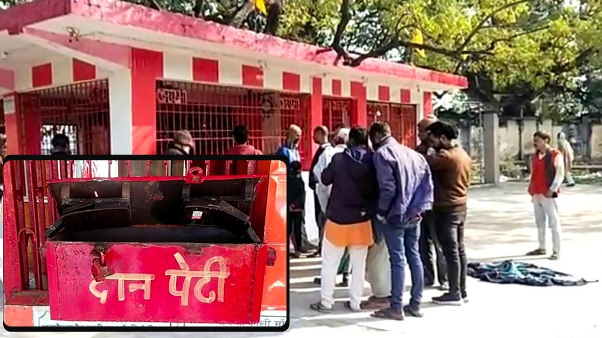7 कुत्तों को जहर देकर मंदिर की दान पेटी से निकाले 15 हजार रुपये 