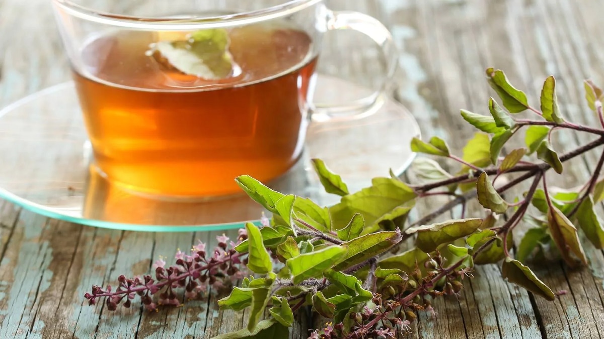 Tulsi tea 