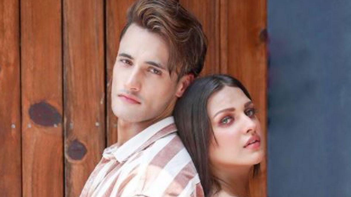 आसिम रियाज, हिमांशी खुराना