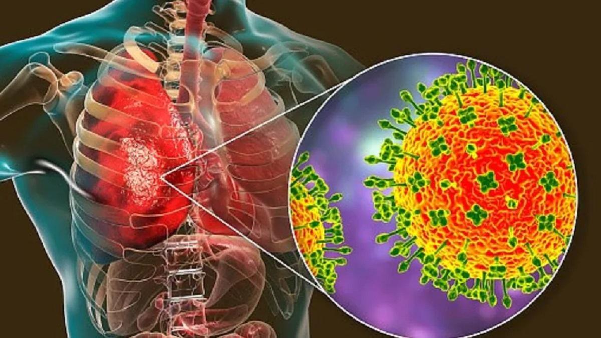 Aaj Ki Taza Khabar: पढ़ें 10 जनवरी 2022 की शाम की टॉप खबरें और अन्य समाचार