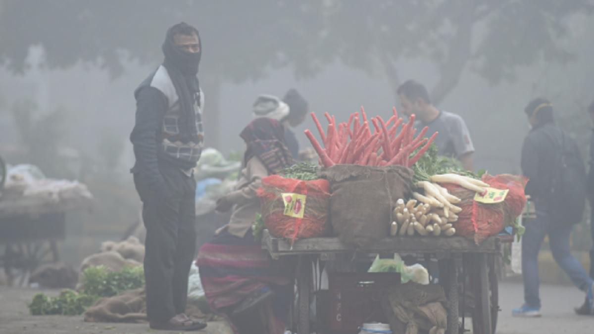 Weather forecast Today: दिल्ली में अभी नहीं मिलेगी कंपकंपाती ठंड से राहत, पंजाब-UP समेत इन राज्यों के लिए IMD ने जारी किया अलर्ट