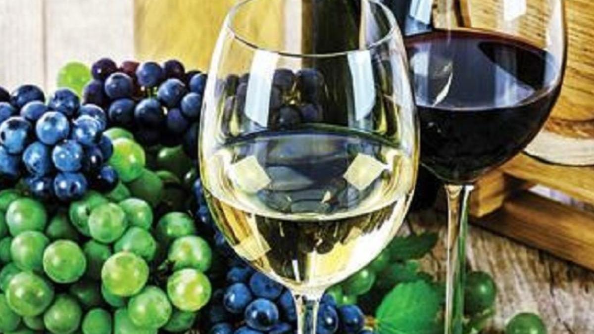 Maharashtra New Liquor Policy: अब पड़ोस के स्टोर पर ही मिल जाएगी Wine, इस राज्य ने बदले नियम