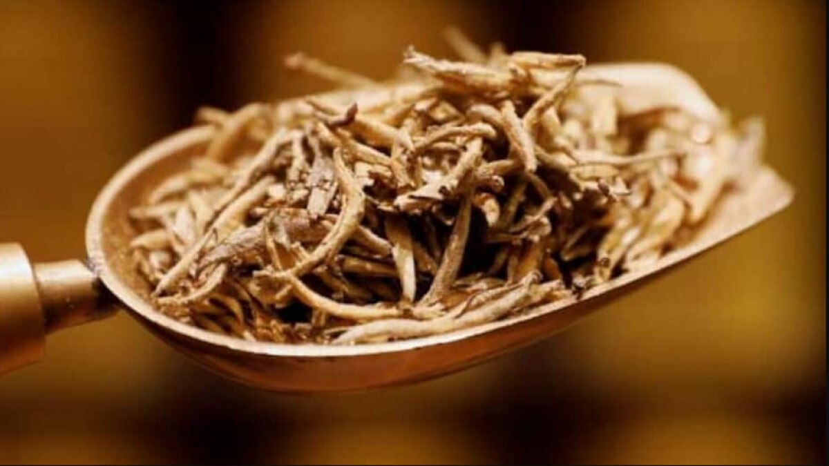 असम की इस एक किलो चाय पत्ती का रेट 99,999 रुपये