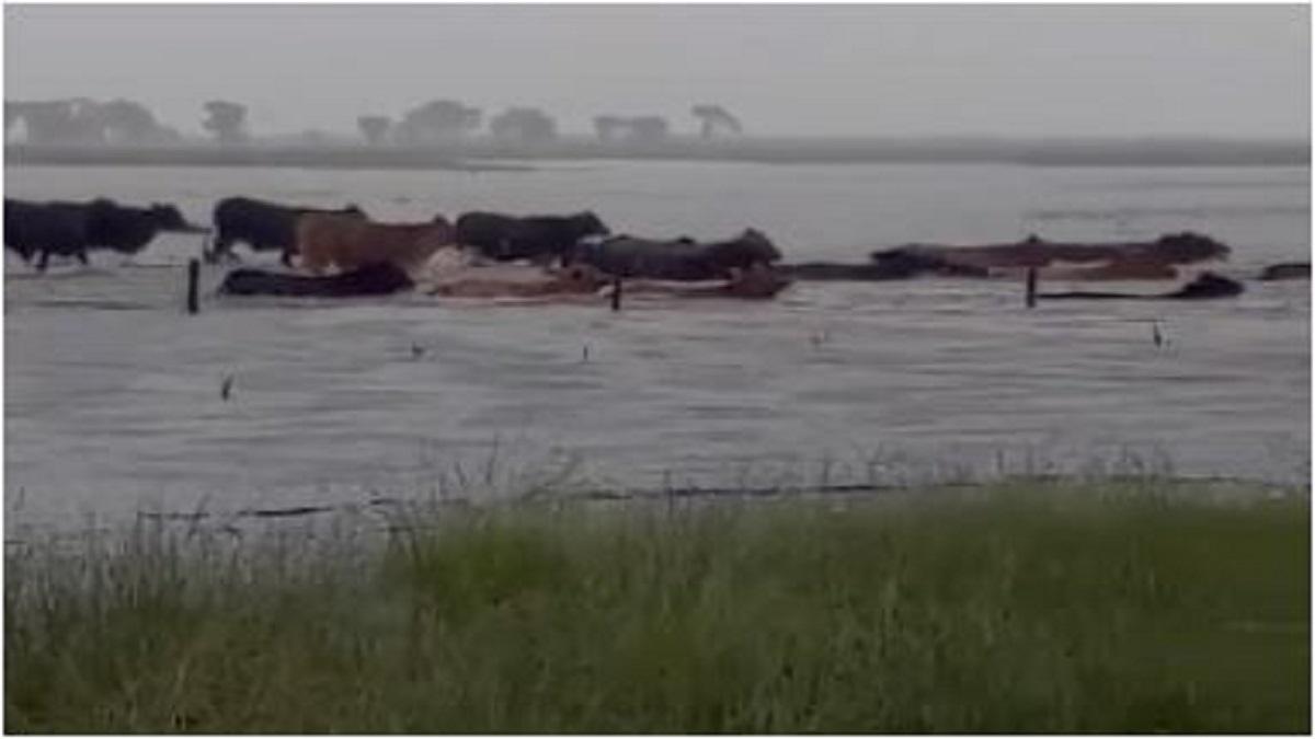 सांकेतिक तस्वीर (Reuters)