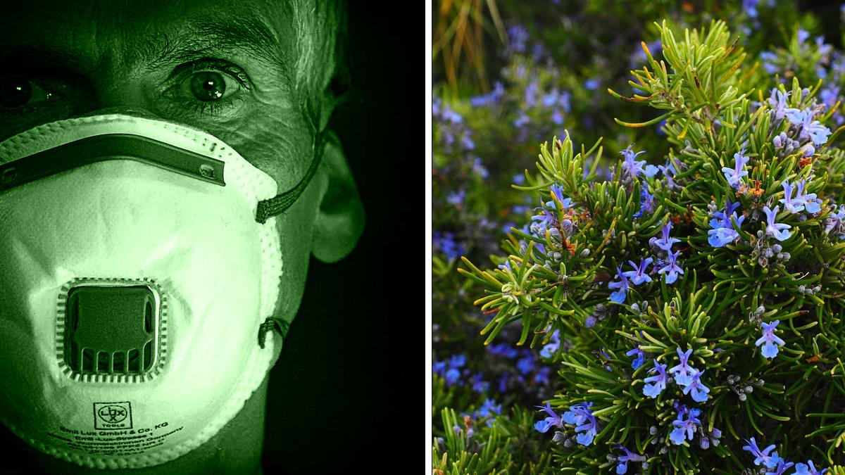 (Image credit: Pixabay)