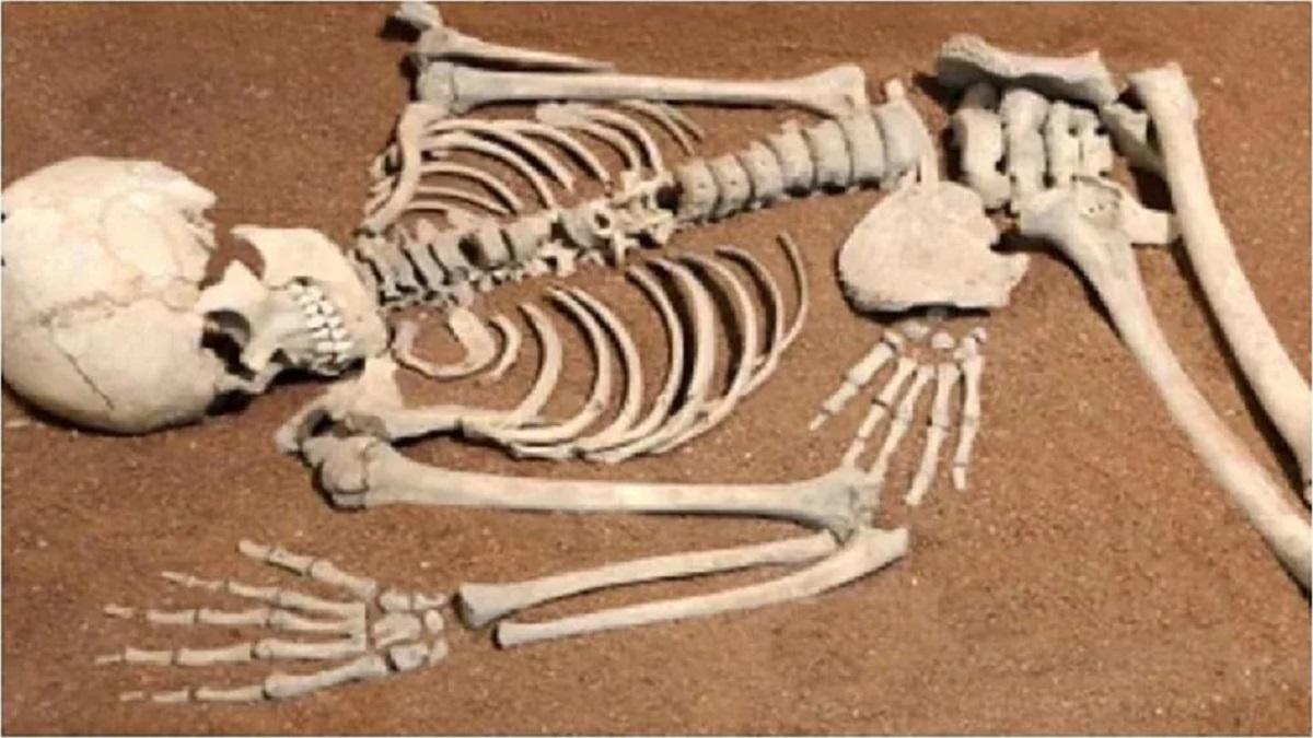 8 सितंबर से लापता था छात्र, गांव के कुएं में मिला नर कंकाल.  (Representative image)