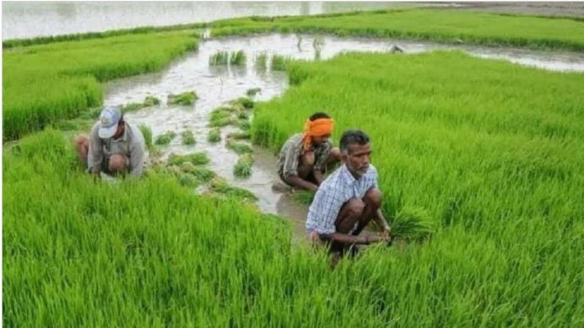 सांकेतिक तस्वीर