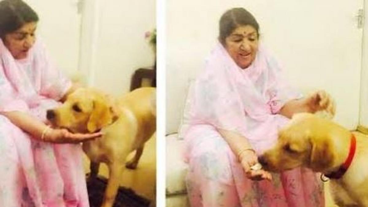 डॉग्स संग लता मंगेशकर