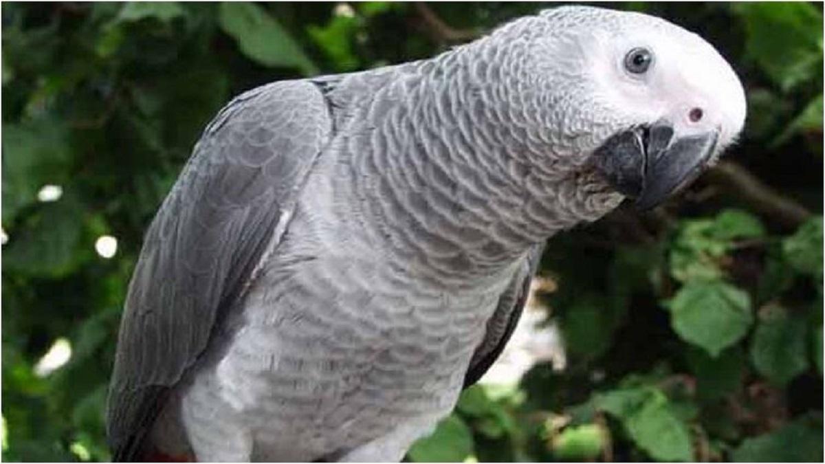 सांकेतिक तस्वीर.