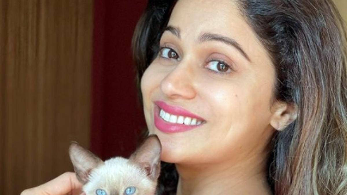 शमिता शेट्टी