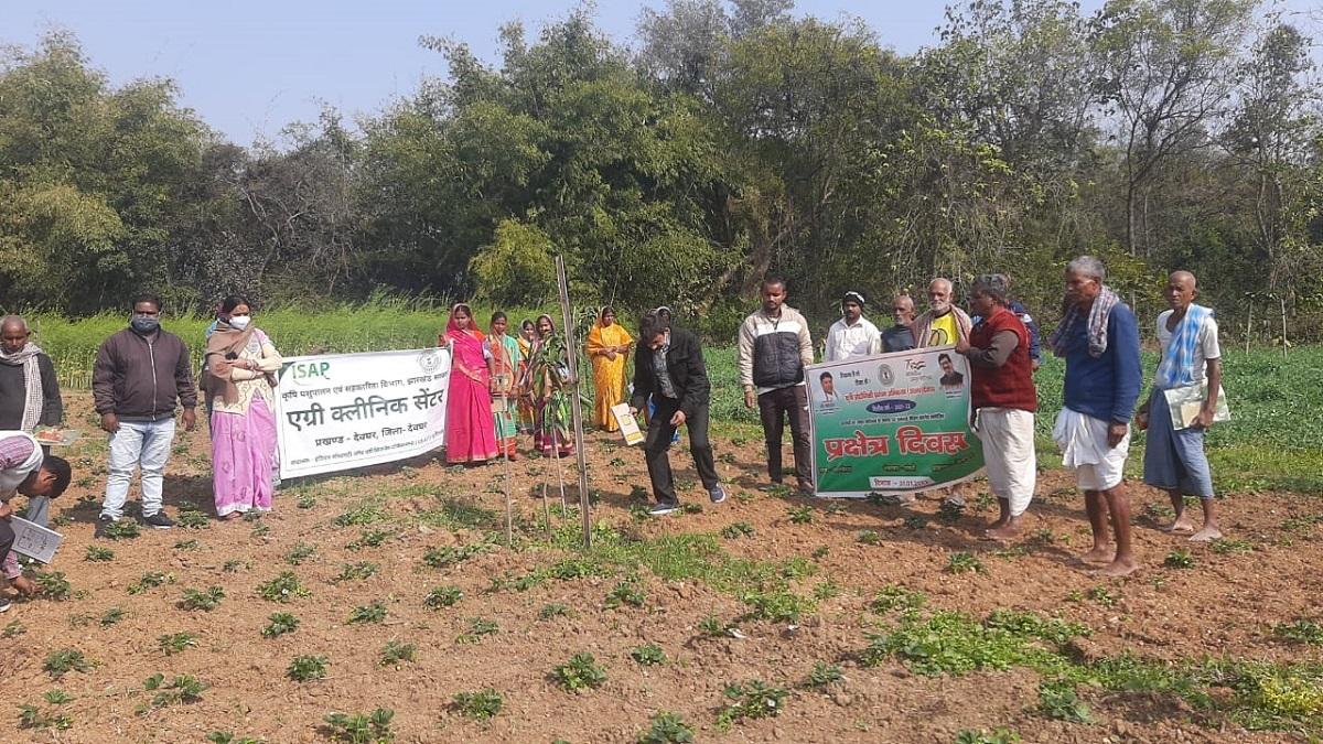   Jharkhand women started strawberry cultivation 