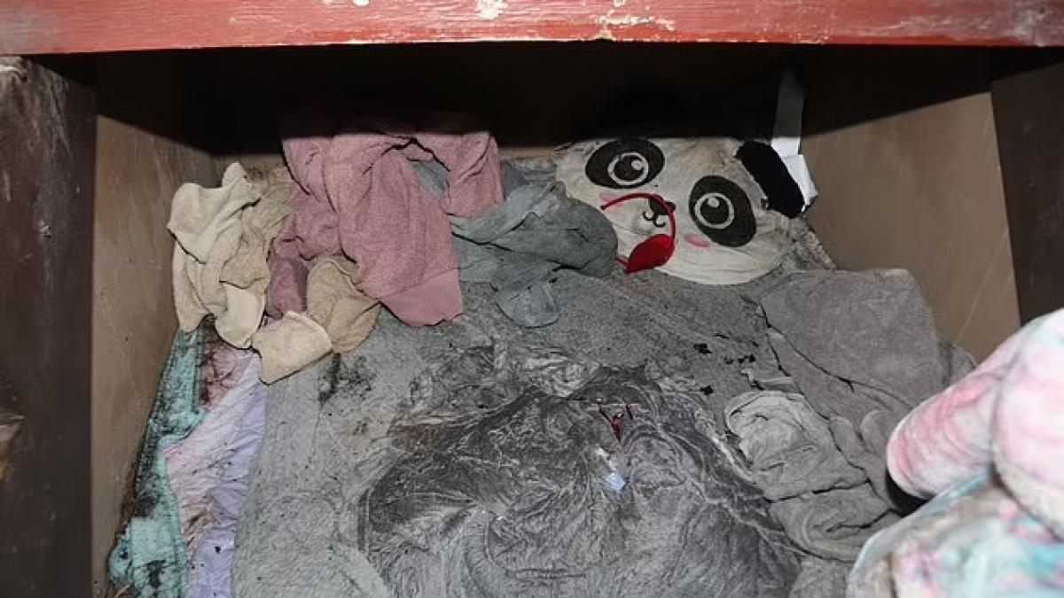 घर के तहखाने में कैद थी बच्ची