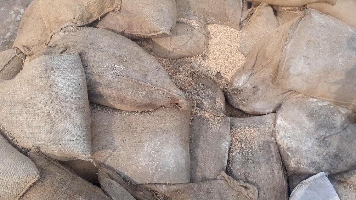 3650 metric tonnes of wheat got rotten