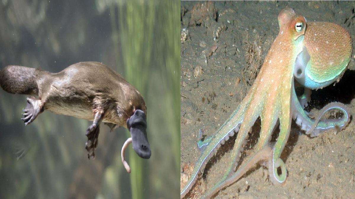 Interview Questions: