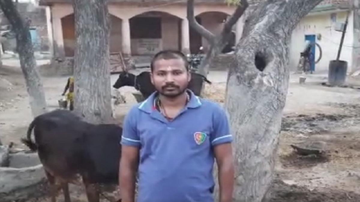 ग्राम पंचायत भवन पर भैंसों का कब्जा