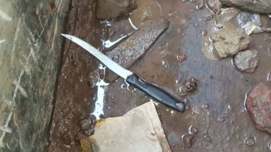 चाकू से बेटियों का काटा गला