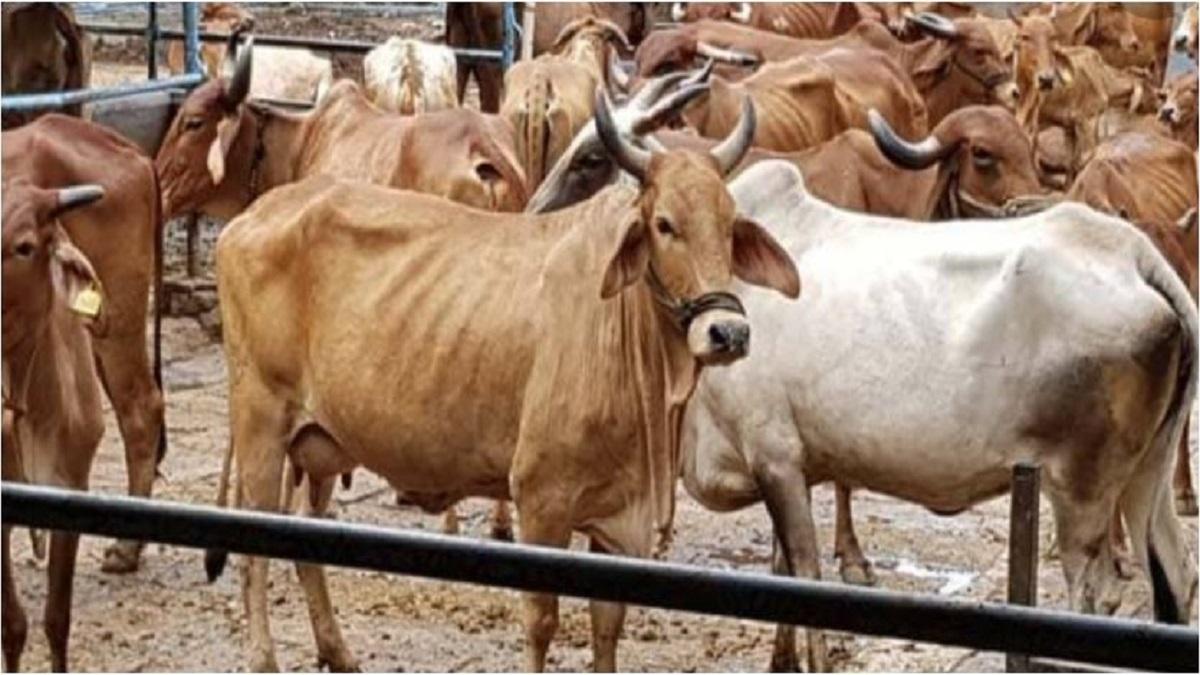 सांकेतिक तस्वीर.