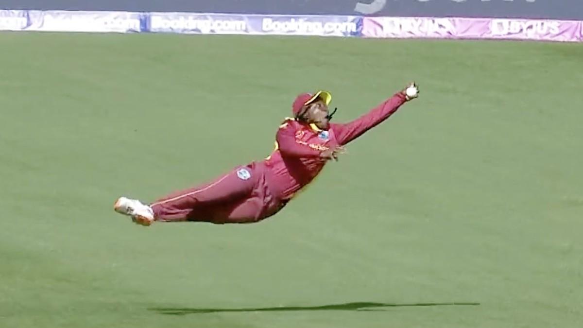 Deandra Dottin catch in World Cup (Twitter)