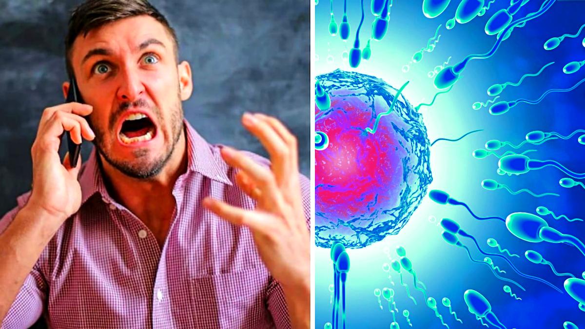 (Image credit: gettyimage and pixels)