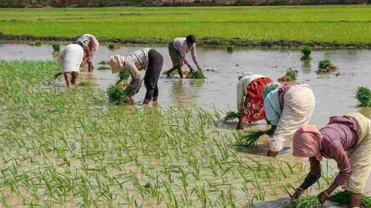 प्रतीकात्मक तस्वीर