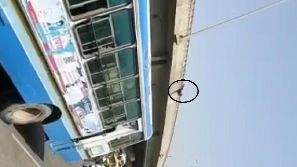 सोशल मीडिया पर वायरल हो रहा युवती के फ्लाईओवर से छलांग लगाने का वीडियो