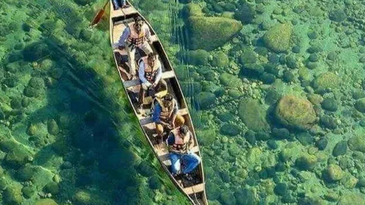 घूमिए पूरा मेघालय और असम