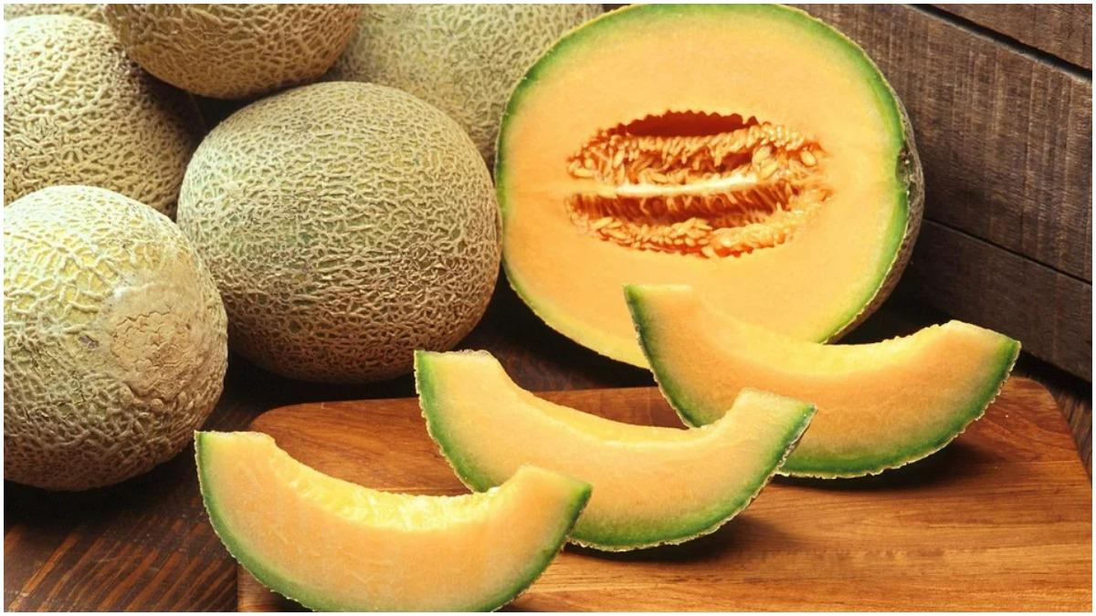 आने वाली हैं गर्मियां, जरूर करें खरबूजा का सेवन, इन लोगों के लिए है बेहद फायदेमंद (Photo Credit: Pixabay)