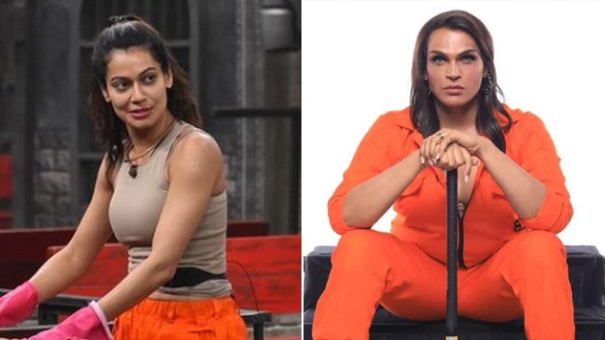 पायल रोहतगी, सायशा शिंदे