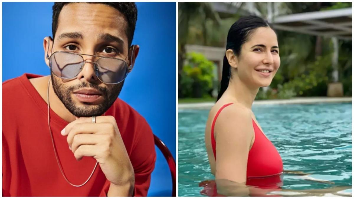 सिद्धांत चतुर्वेदी, कटरीना कैफ